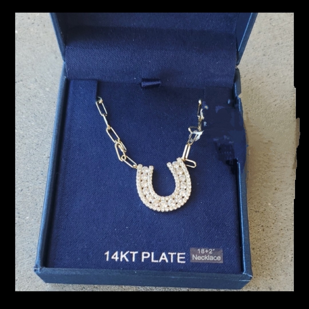 Simply Silver 14k Gold Plated Crystal Horseshoe Pendant Necklace 18+2